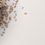 banners_sembrando-futuro-descarga_dossier_en