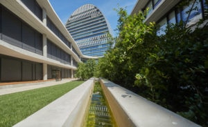 BBVA-emisiones-CO2-apertura-Vela-sostenibilidad