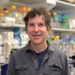 Premio Fronteras a los científicos que han conseguido predecir la estructura 3D de las proteínas mediante la inteligencia artificial